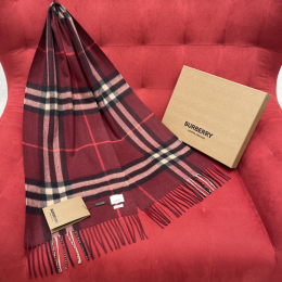 BURBERRY Scarf 231110B