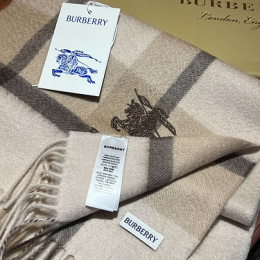 BURBERRY Scarf 231110T