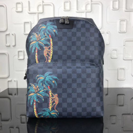 LV APOLLO Backpack N50003